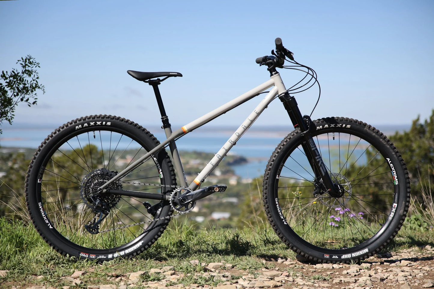 FAIRDALE ELEVATOR 29" HARDTAIL MTB