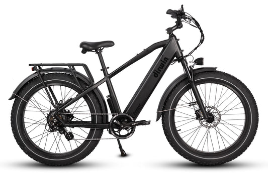 Dirwin Pioneer Fat Tire Electric Bike