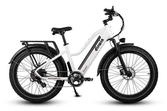 Dirwin Pioneer Step Through Fat Tire Electric Bike